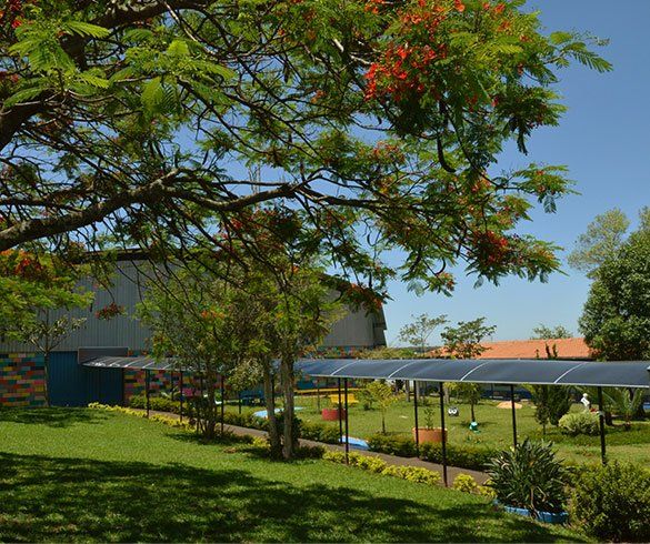 historia apae sao manuel sp